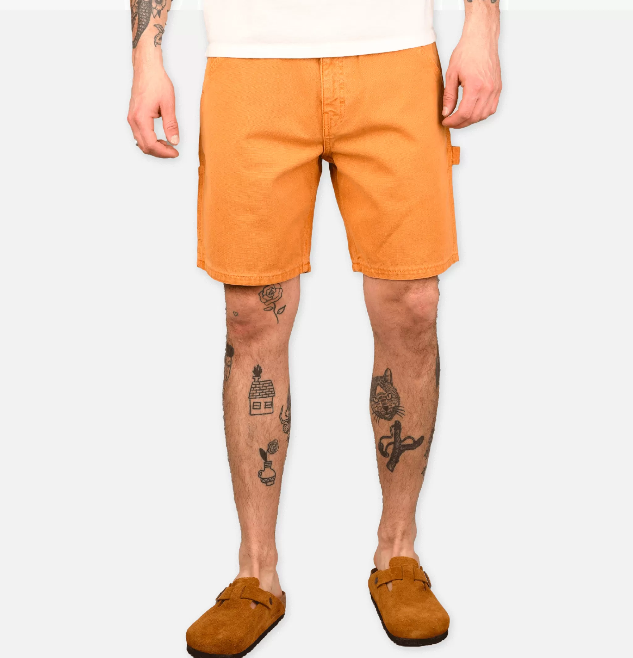 STAN RAY USA Shorts | Painter Short Driftwood Duck